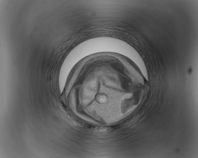 X0000115380235200912011213