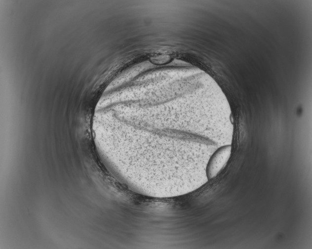 X0000115380236200912011213