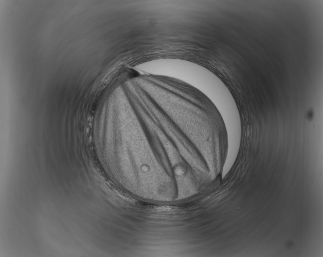 X0000115380237200912011213