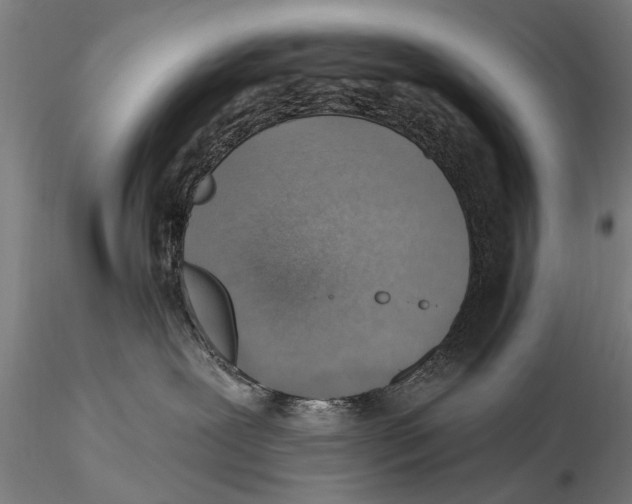 X0000115380239200912011213