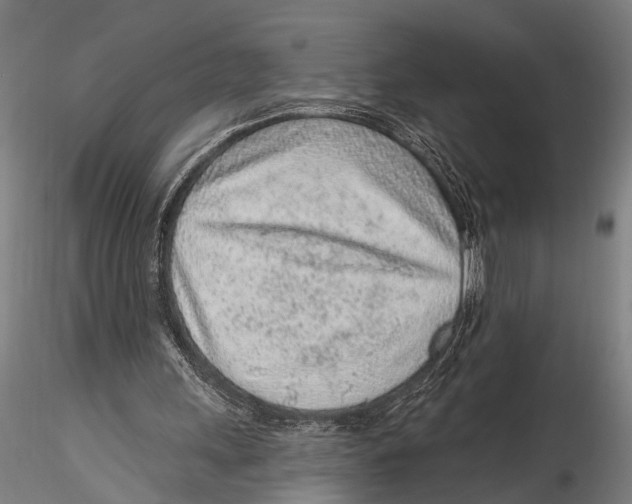 X0000115380243200912011212