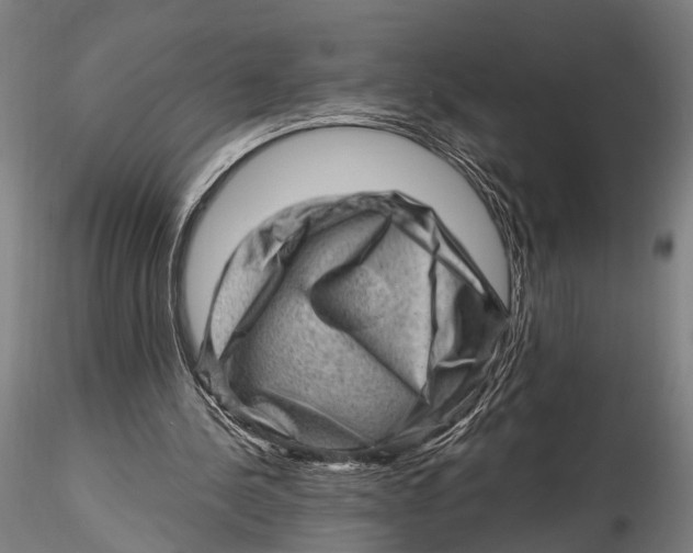 X0000115380244200912011212