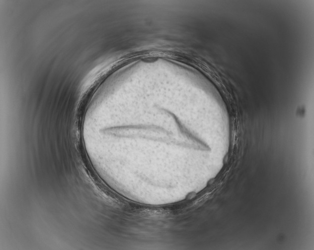 X0000115380245200912011212