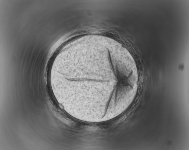 X0000115380246200912011212