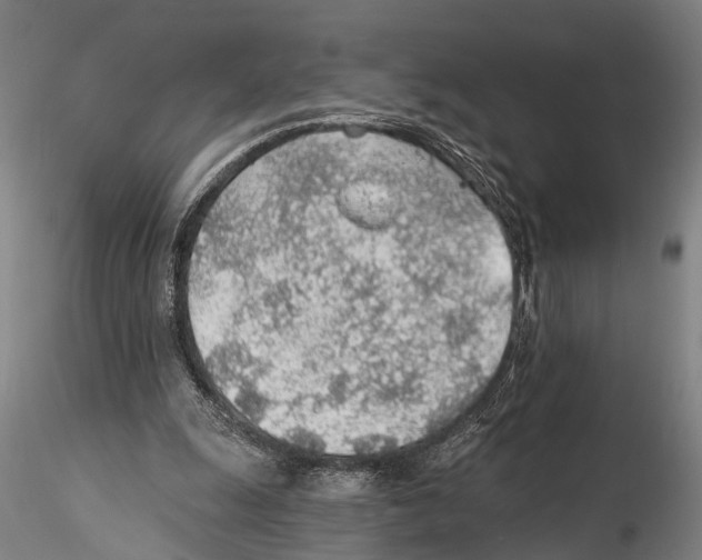 X0000115380247200912011212