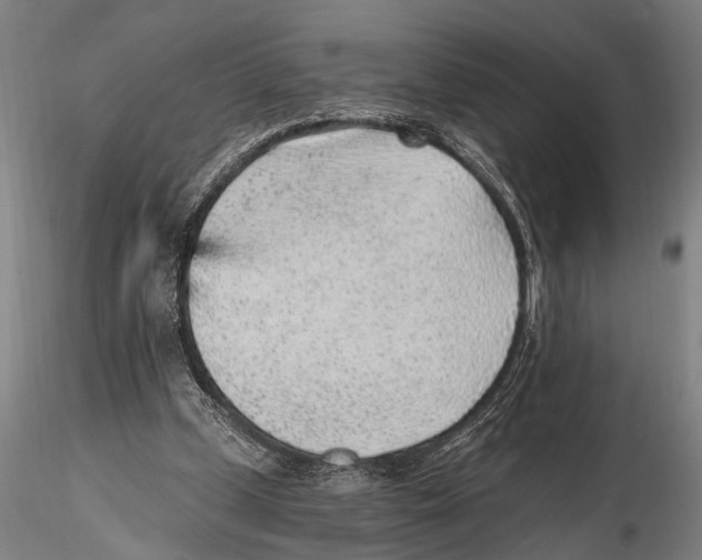 X0000115380249200912011212