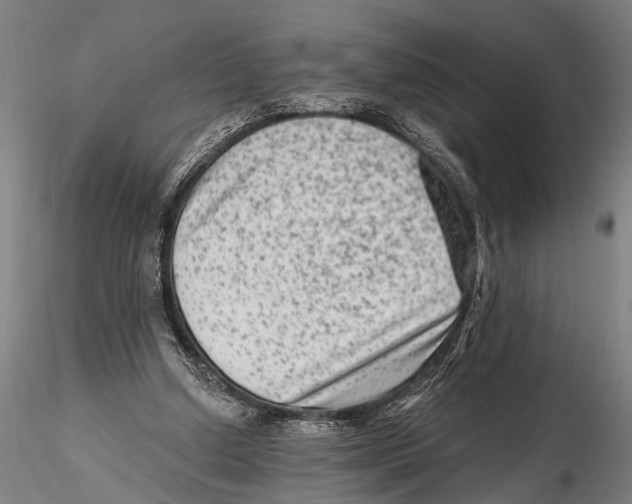 X0000115380250200912011212