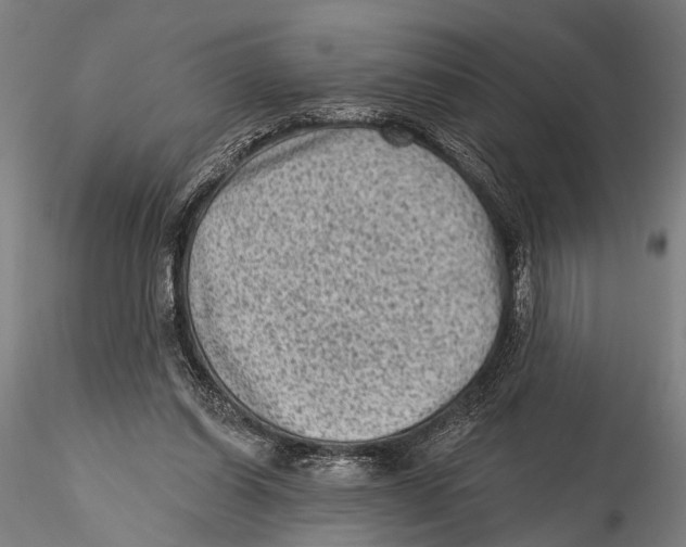 X0000115380254200912011212