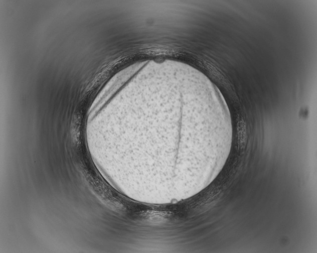 X0000115380255200912011212