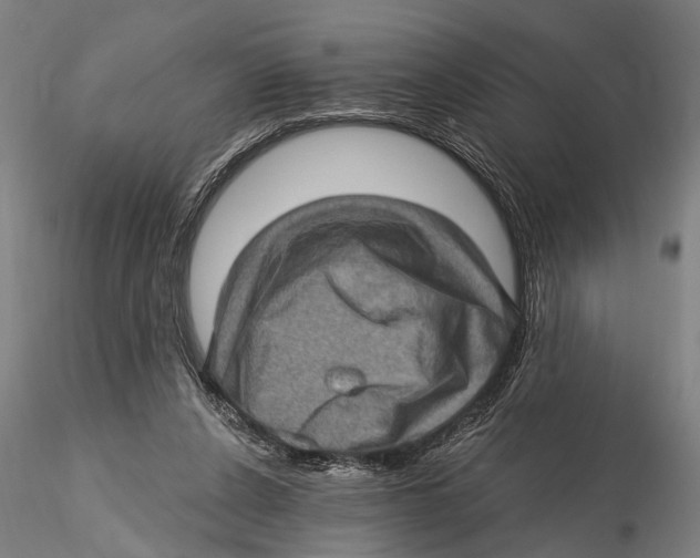 X0000115380256200912011212