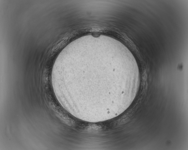 X0000115380257200912011212