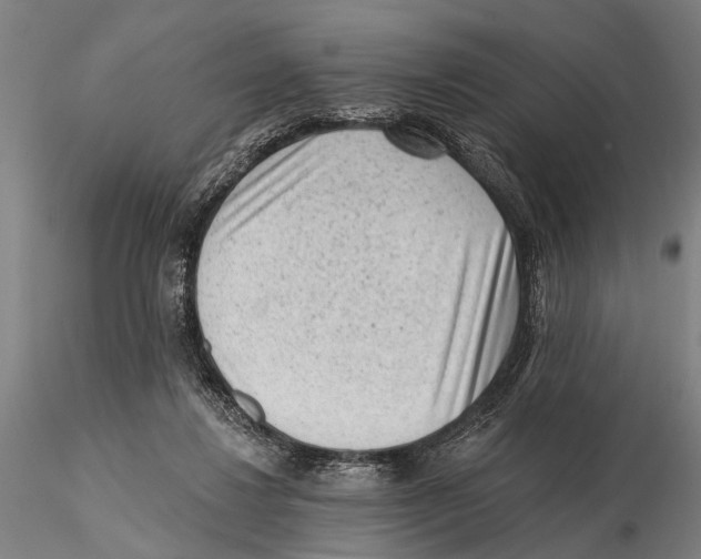 X0000115380260200912011212