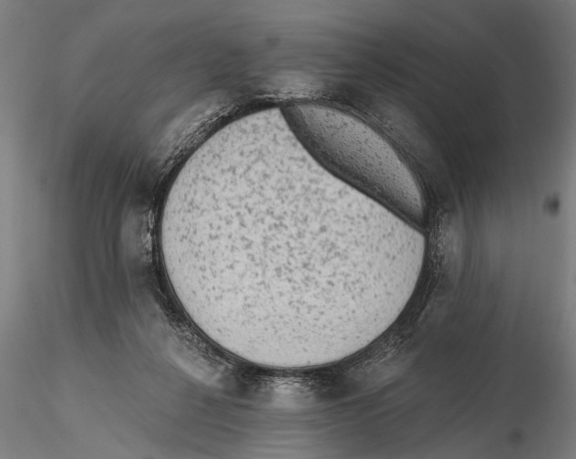 X0000115380264200912011212