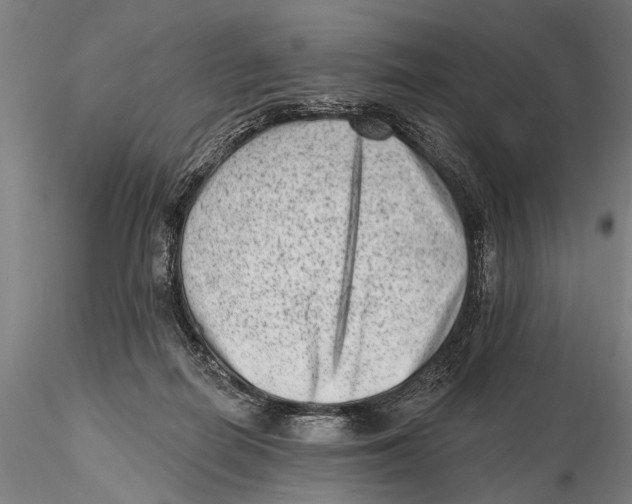 X0000115380266200912011212