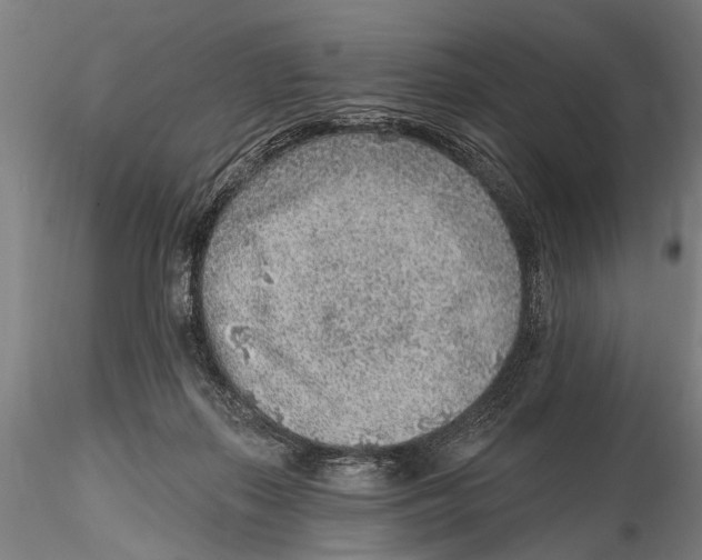 X0000115380267200912011212