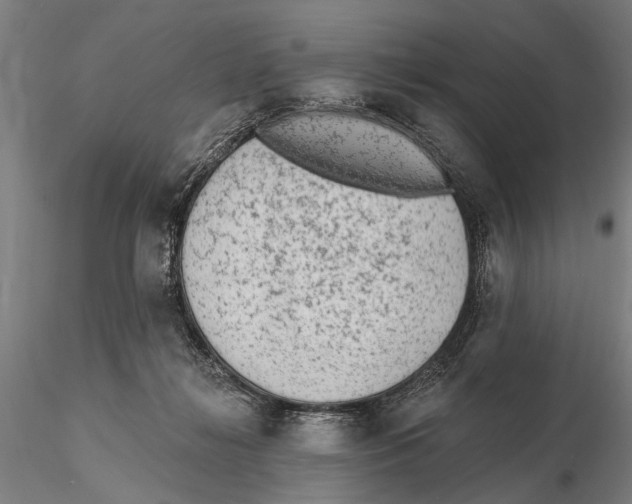 X0000115380268200912011212