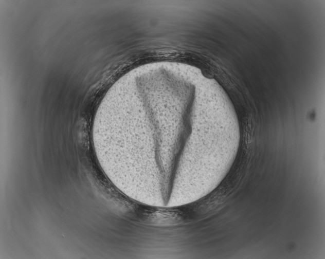 X0000115380270200912011212