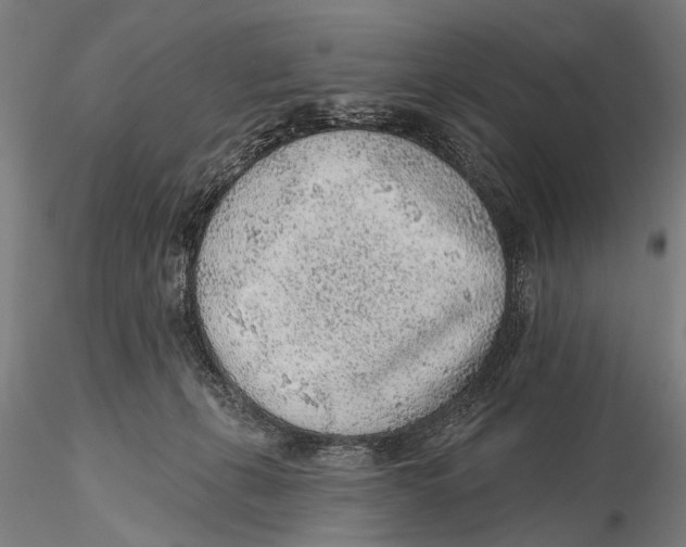 X0000115380271200912011212