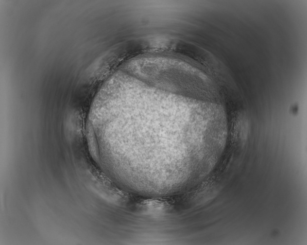 X0000115380272200912011212