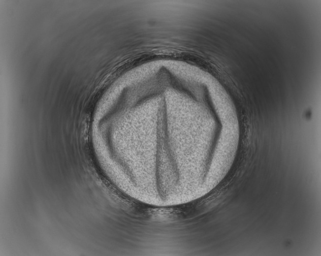 X0000115380273200912011212