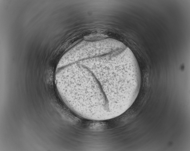 X0000115380274200912011212