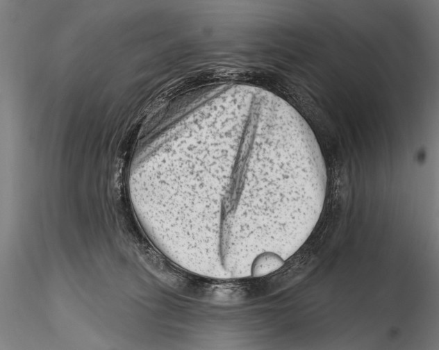 X0000115380275200912011212