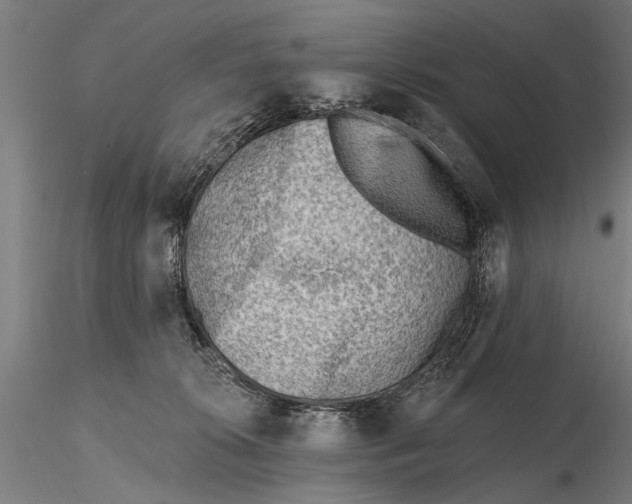 X0000115380276200912011212