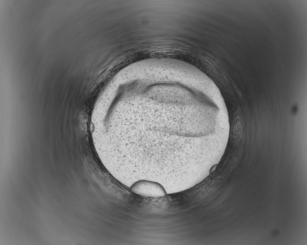 X0000115380282200912011213