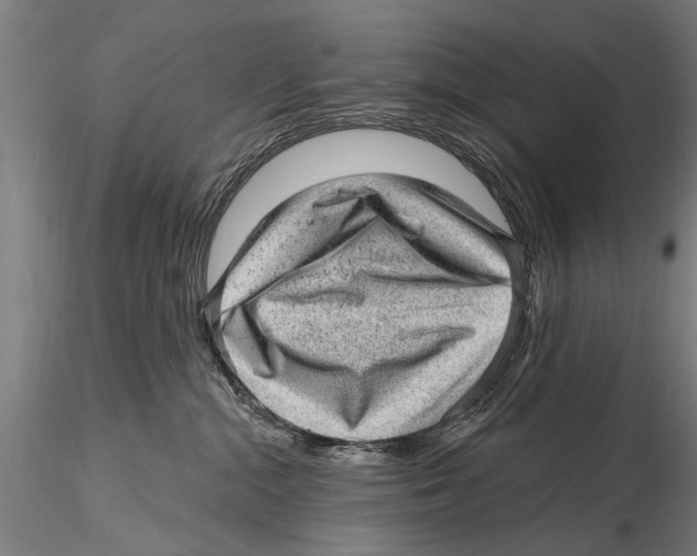 X0000115380284200912011213