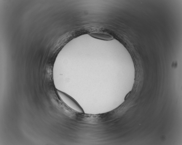 X0000115380288200912011213