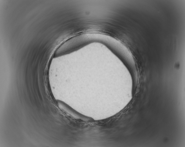 X0000115380289200912011212