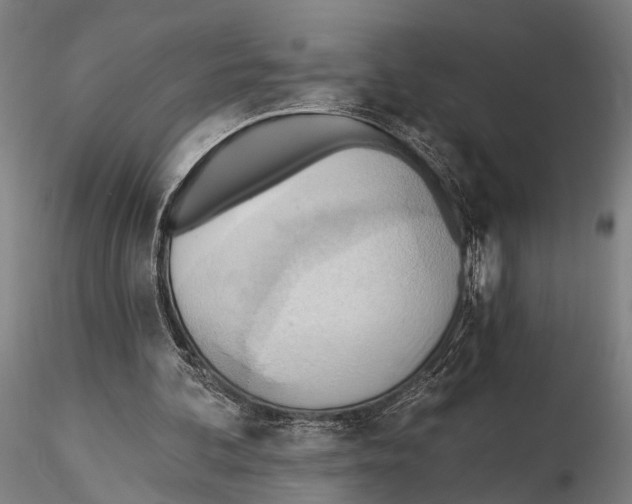 X0000115380292200912011212