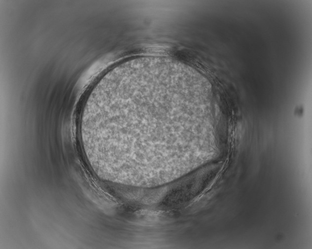 X0000115380294200912011212