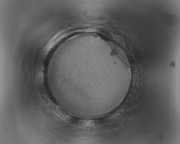 X0000115380295200912011212