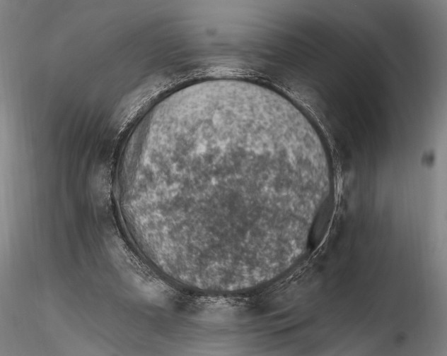 X0000115380297200912011212