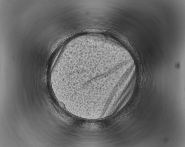 X0000115380299200912011212