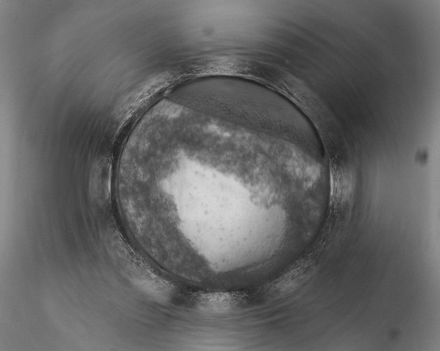 X0000115380301200912011212