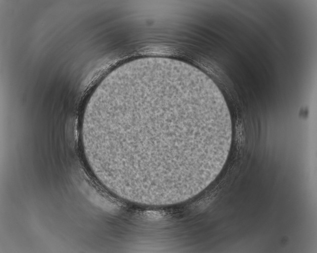 X0000115380302200912011212