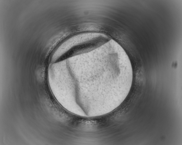 X0000115380304200912011212