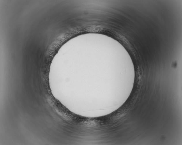 X0000115380307200912011212