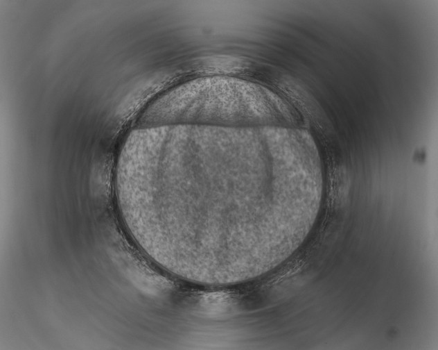 X0000115380309200912011212