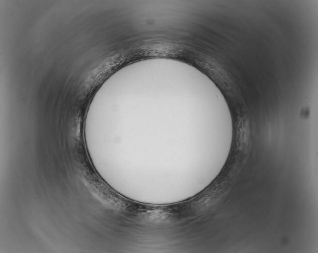 X0000115380310200912011212