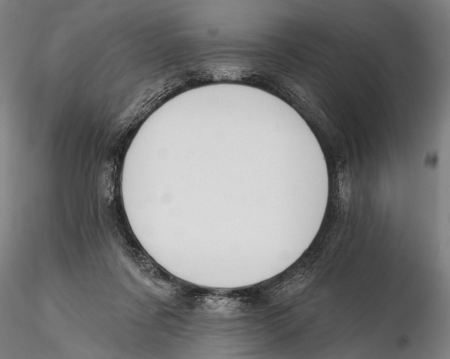 X0000115380311200912011212