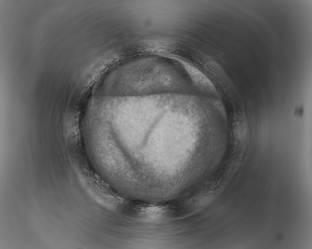 X0000115380312200912011212