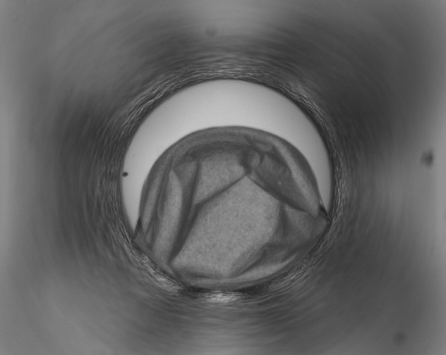 X0000115380313200912011211