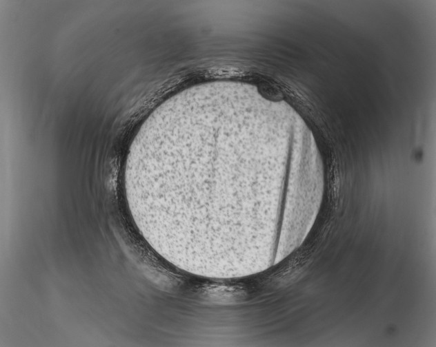 X0000115380315200912011211