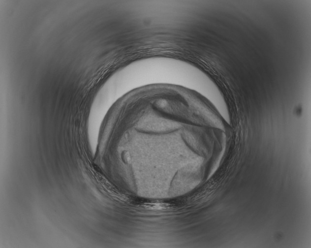 X0000115380316200912011211