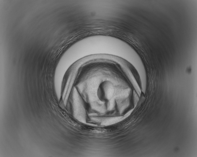 X0000115380317200912011211