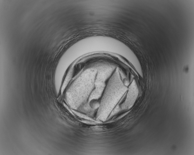 X0000115380320200912011211