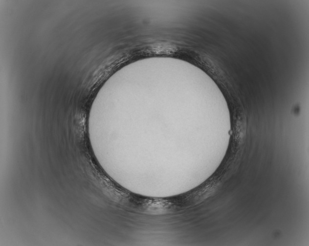 X0000115380321200912011211